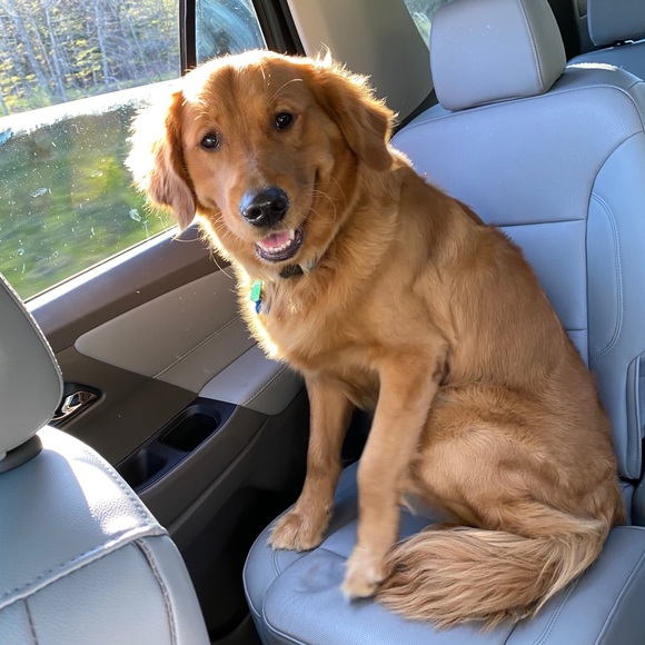 Meet your Part time Posher, full time zoo keeper - Picture 12 of 15